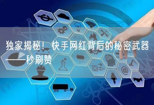 独家揭秘！快手网红背后的秘密武器——秒刷赞