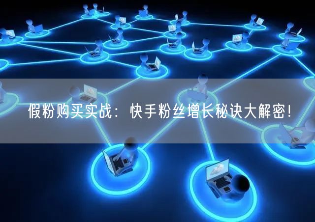 假粉购买实战：快手粉丝增长秘诀大解密！