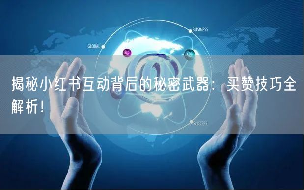 揭秘小红书互动背后的秘密武器：买赞技巧全解析！